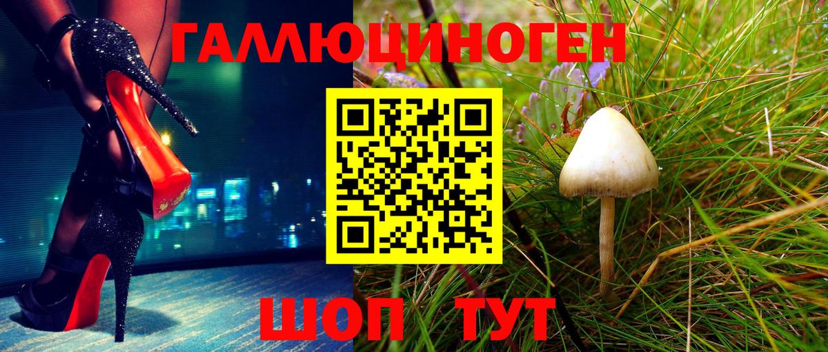 Псилоцибиновые грибы MAGIC MUSHROOMS  Вход с VPN  Павлово  Псилоцибиновые грибы прущие грибы 